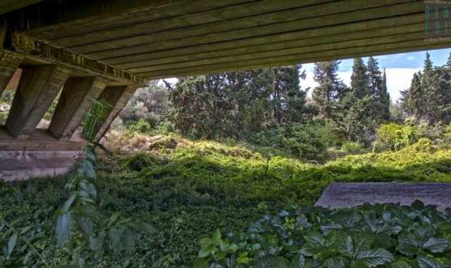 Lama Giotta, il selvaggio e lussureggiante 